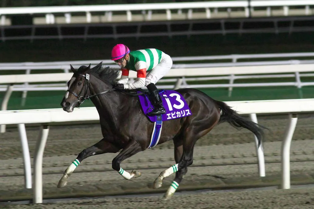 【みやこS2017】エピカリス、気になる状態面は?初の古馬相手でも通用するのか?