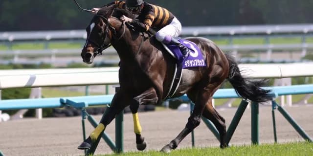 【ジャパンカップ2017予想】キタサンブラック連覇なるか、カギを握るのは武豊?
