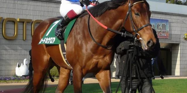 ロードカナロア、JRA顕彰馬に選定