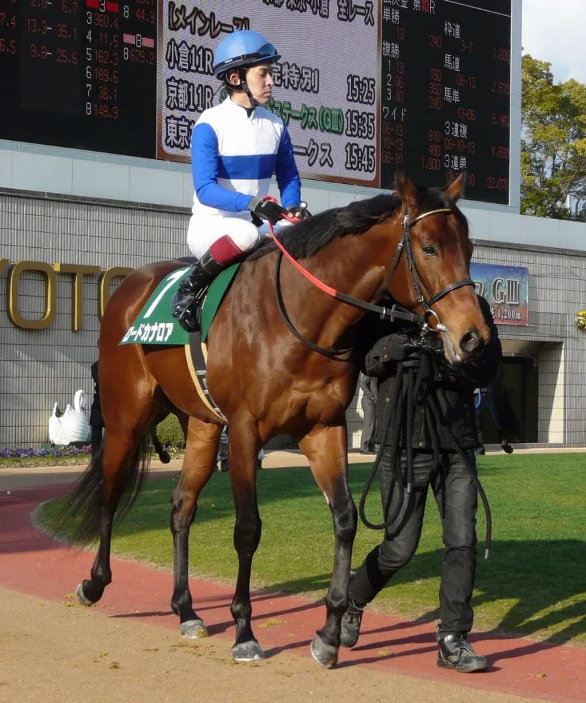 ロードカナロア、JRA顕彰馬に選定