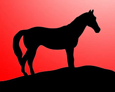 【日本ダービー2019予想】未知の魅力がある穴馬とは?