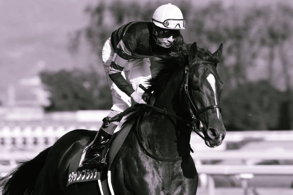 【有馬記念2017予想】キタサンブラックを“買わない”選択はアリ?懸念される「2つ」の不安要素とは?