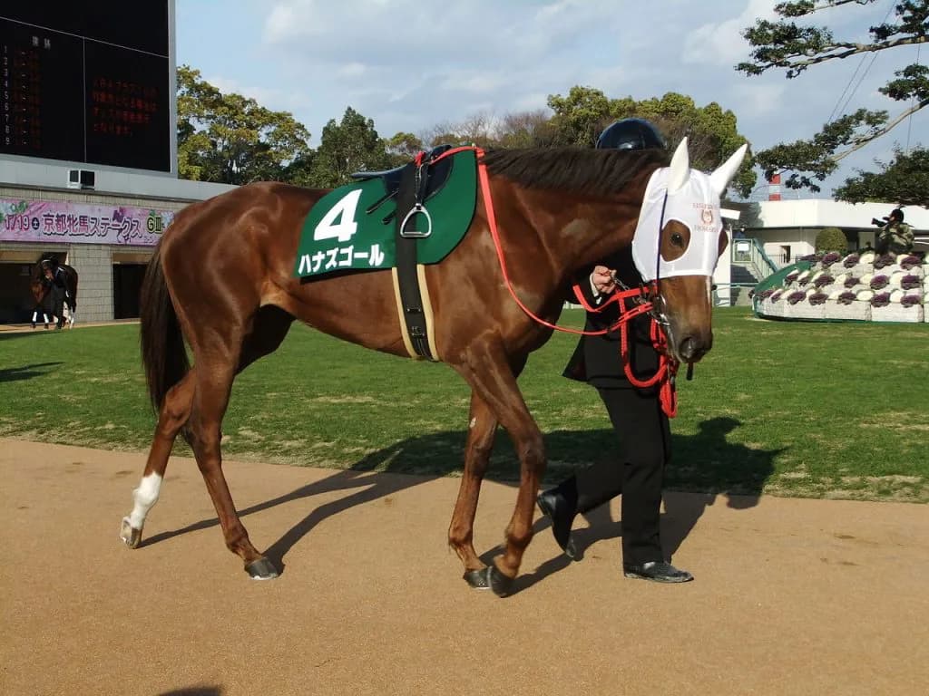 ハナズゴール、初産駒に「奇跡の血量」