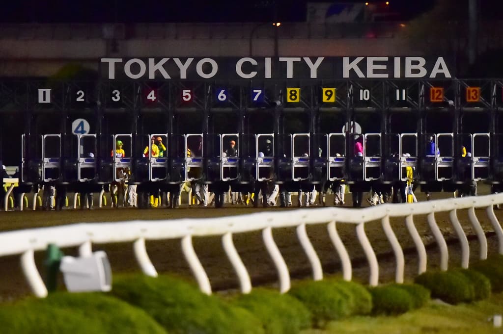 【東京スプリント2023予想】中央優勢の中で注目したい地方馬は?