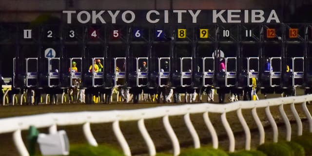 【東京ダービー2025】ナチュラルライズやカナルビーグルなどJRA所属馬8頭が登録