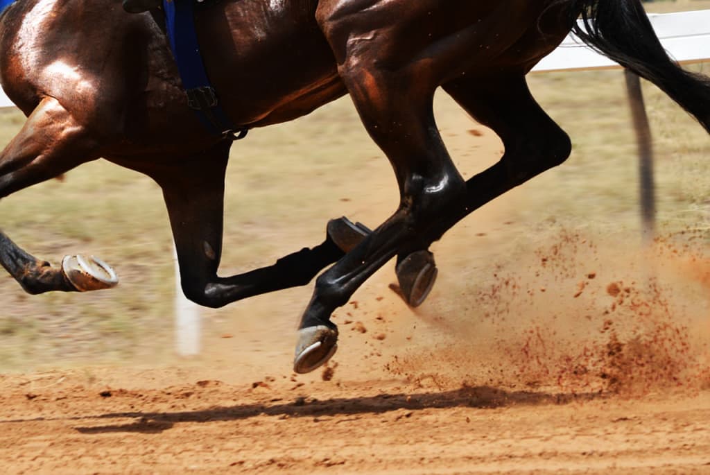 【古町ステークス予想2023】“鬼脚炸裂”なるか?バハルダール昇格期待