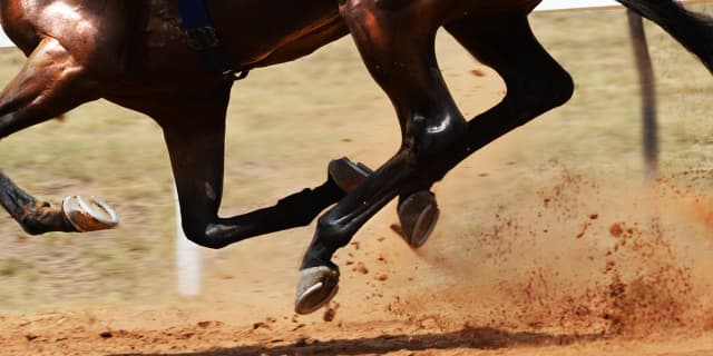 【シリウスS予想2025】上昇度ならテーオーパスワード、57.5kgのハンデも問題なし?