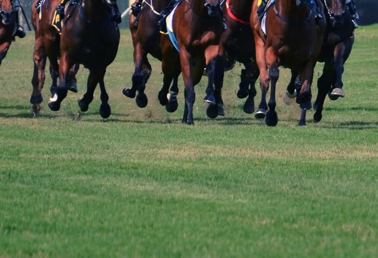 【東京スポーツ杯2歳S予想2019】クラシックへの登竜門!ラインベックやアルジャンナなど出走予定馬を考察