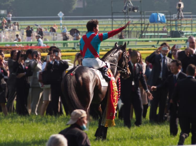 ダービー馬のワンアンドオンリー引退、種牡馬へ