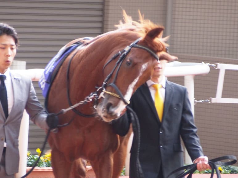 【札幌記念2017】折り合い面で不安のあるエアスピネル、ルメールへの乗り替わりが吉と出るか?