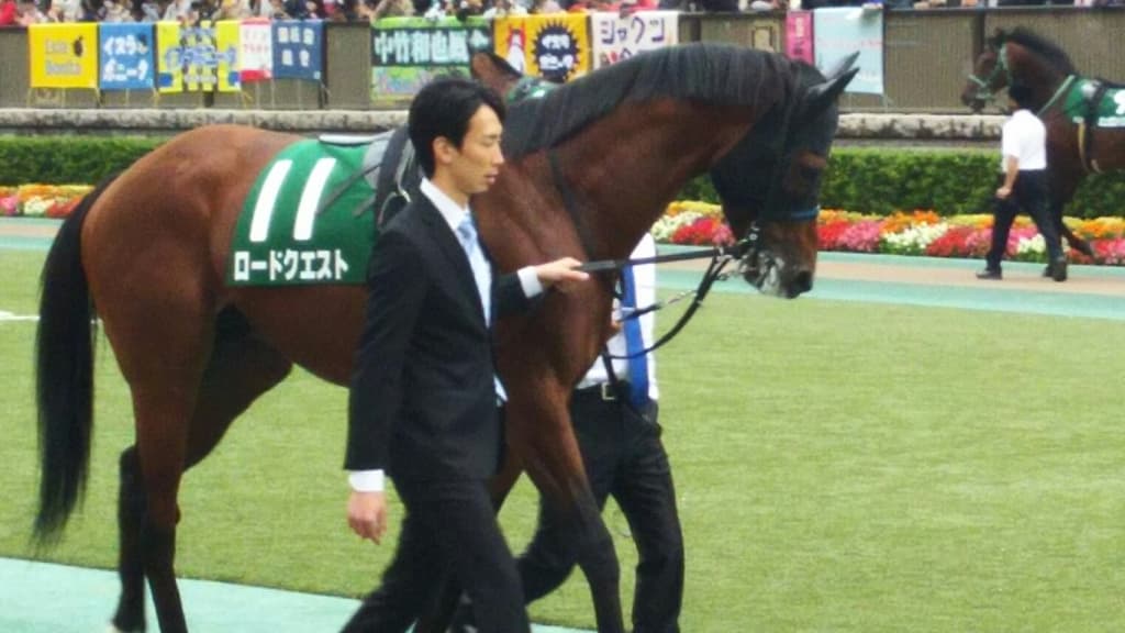 【新潟2歳S予想2018】4馬身差圧勝の兄に続けるか?兄妹同一重賞Vかかるスティルネス