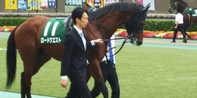 【新潟2歳S予想2018】4馬身差圧勝の兄に続けるか?兄妹同一重賞Vかかるスティルネス