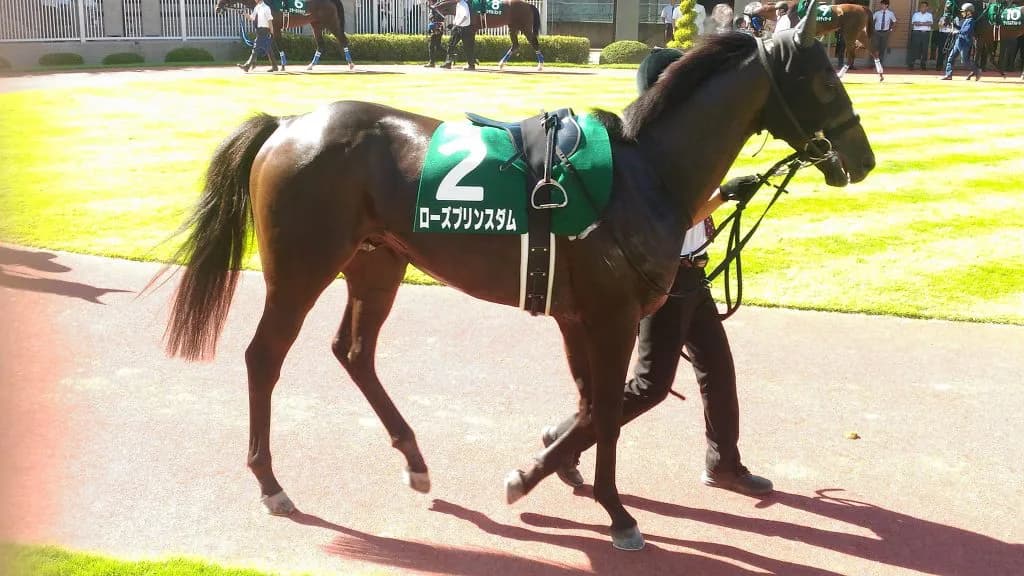 【東海S予想2018】4歳となったローズプリンスダムの成長力に期待!