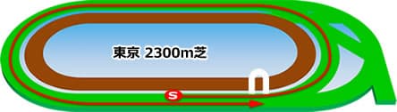東京競馬場 芝2300m