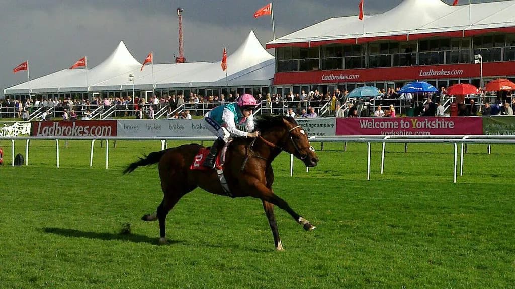 【注目新馬】良血フランケル産駒ミリオンドリームズ