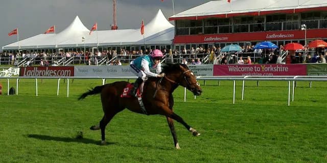 【注目新馬】良血フランケル産駒ミリオンドリームズ