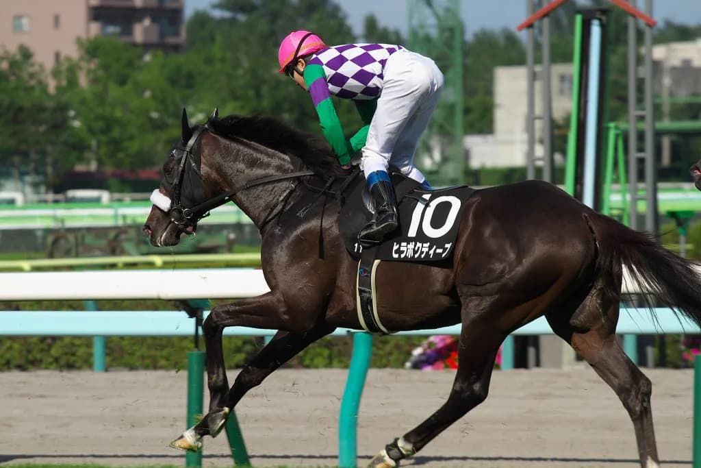 青葉賞勝ちのヒラボクディープが引退、種牡馬へ