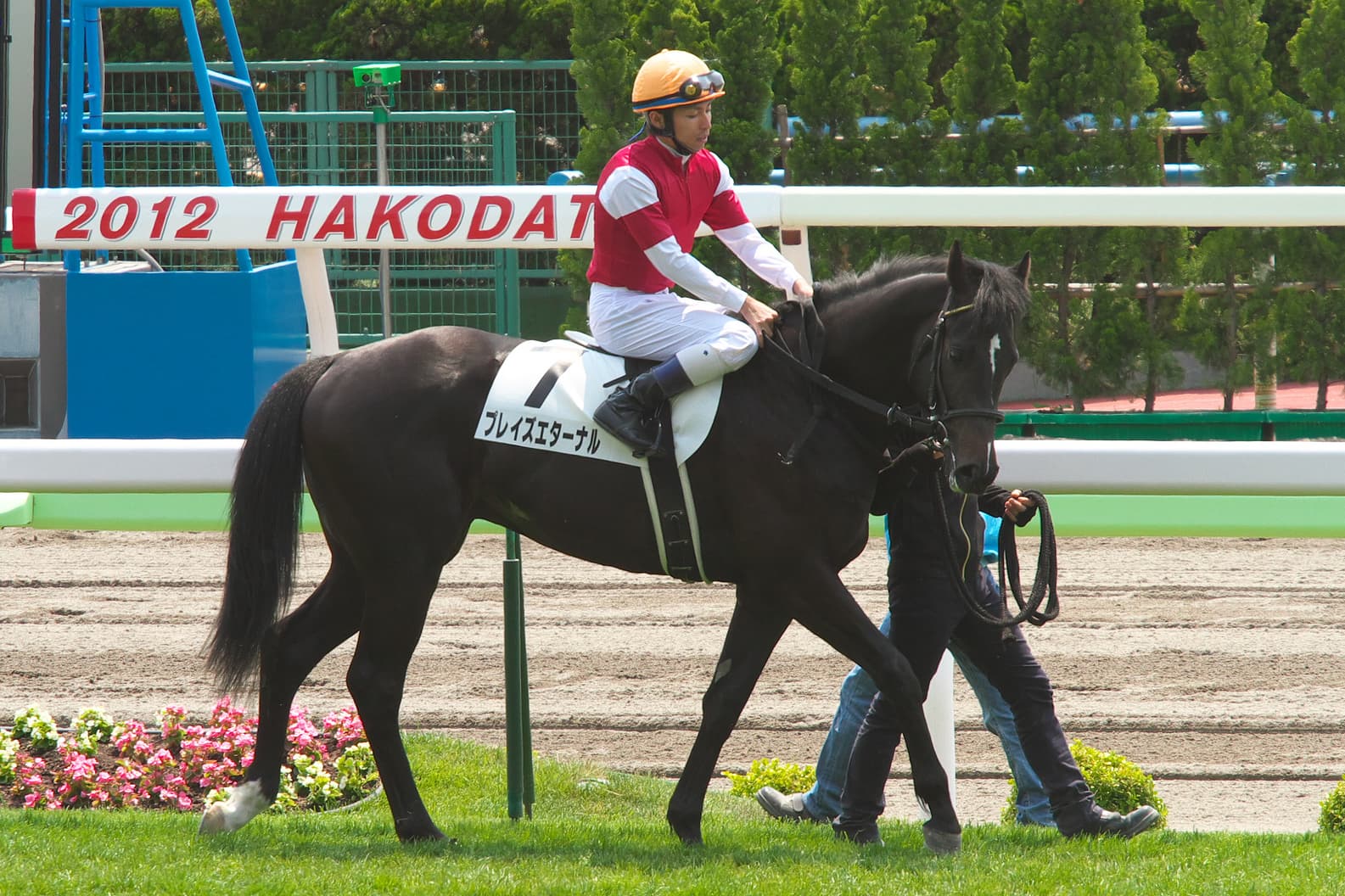 【セントウルステークス2017予想】阪神競馬場替わりが狙い目、プレイズエターナルチャンス十分!