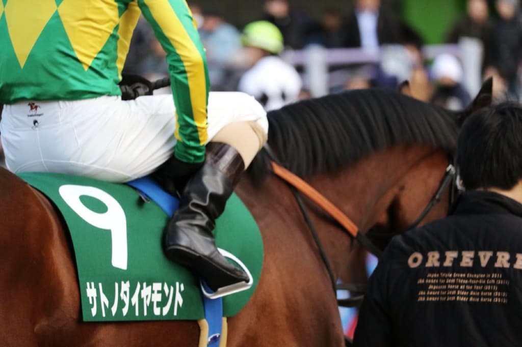 サトノダイヤモンドはまだ疲れ取れず、復帰は様子見ながら