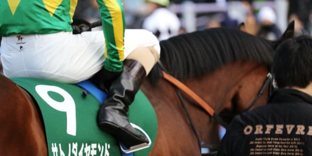 【有馬記念2018予想】サトノダイヤモンド、前目の位置取りなら