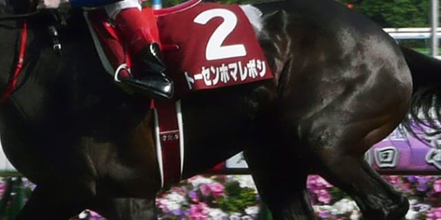 【セントライト記念2017予想】関東の秘密兵器はこの馬だ?!トーセンホマレボシ産駒“期待の星”