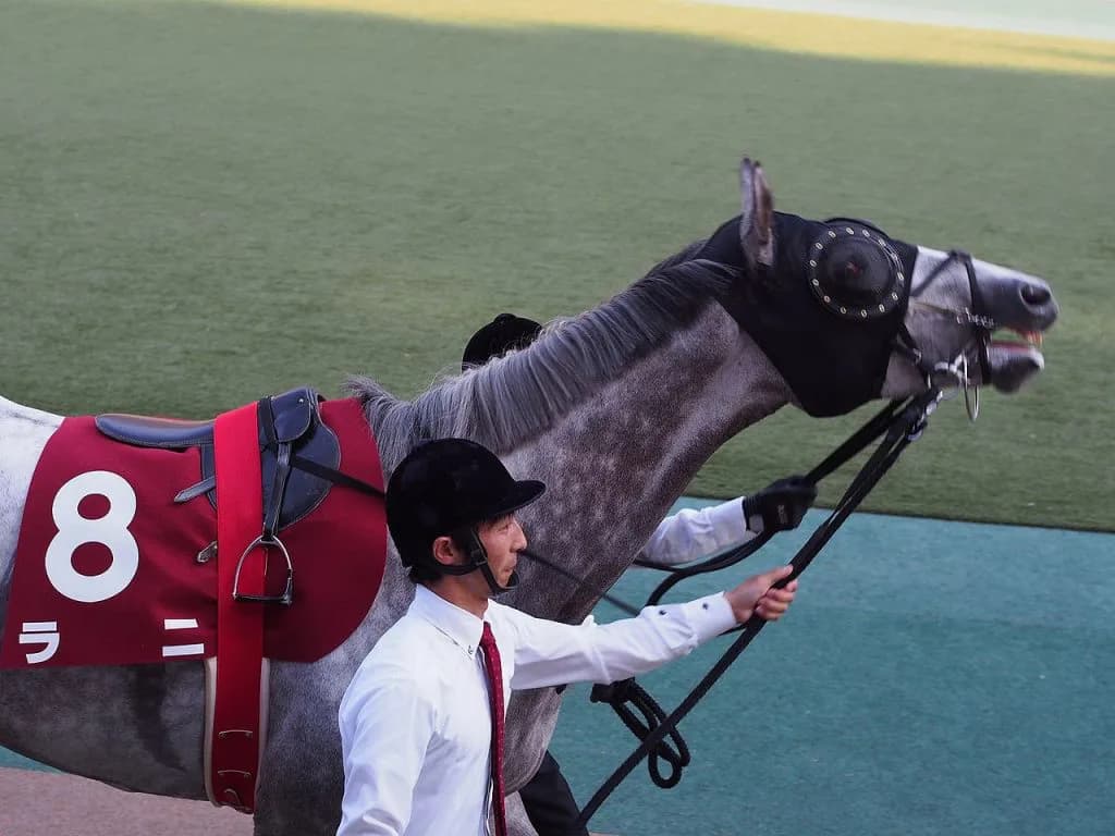 【ブラジルカップ2017予想】世界のムーアも手を焼くラニと目指せ悲願のビッグタイトル