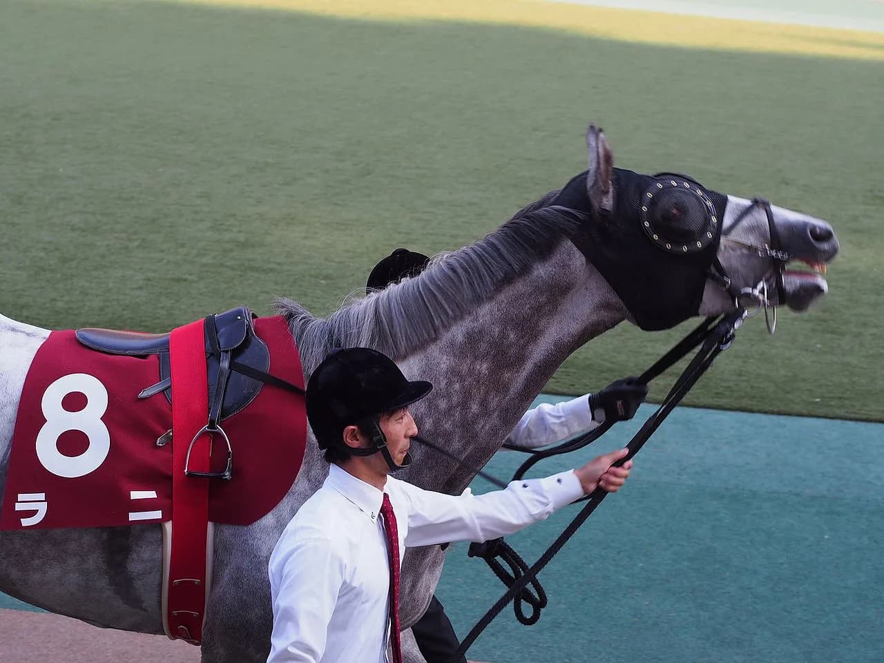 【ブラジルカップ2017予想】世界のムーアも手を焼くラニと目指せ悲願のビッグタイトル