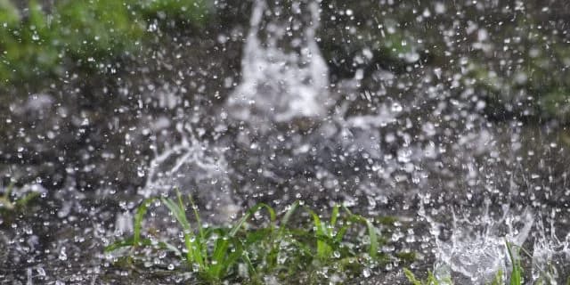 JRA小倉記念(2021)は“雨”が歓迎のアノ馬!