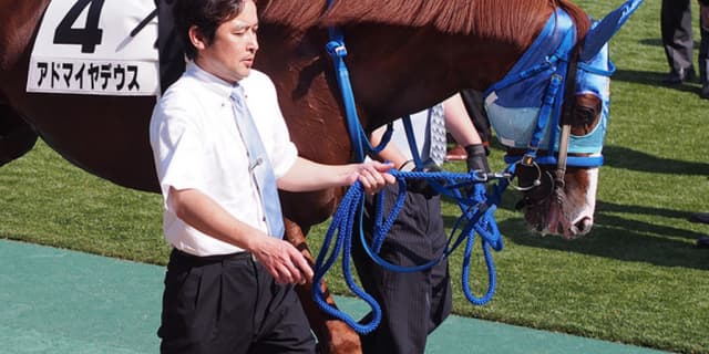 アドマイヤデウス、豪州で死亡