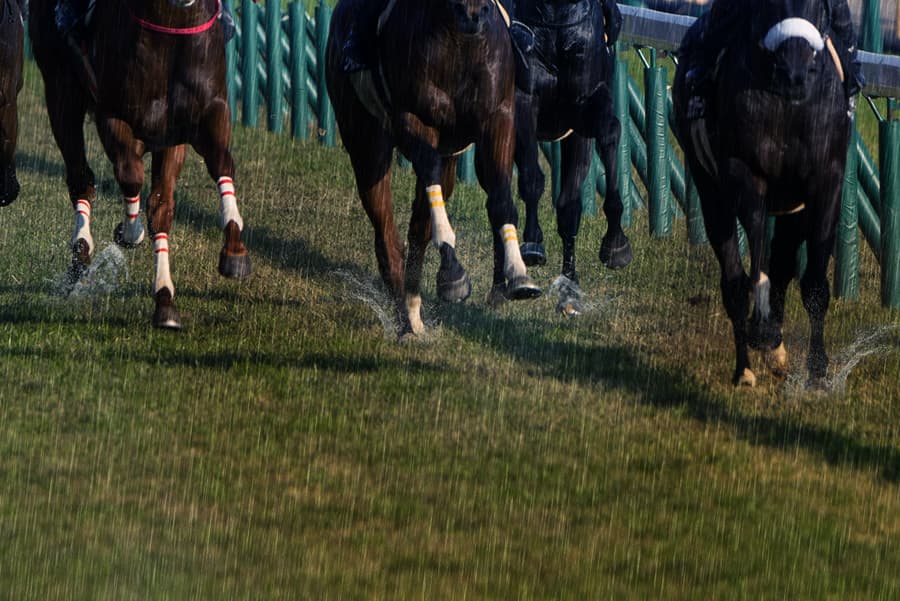 【CBC賞2019予想】狙い目は重馬場巧者の穴馬!?