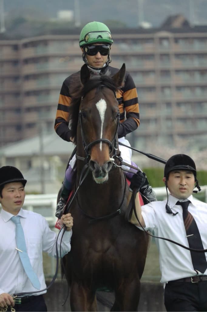 【有馬記念予想2017】素直にキタサンブラックの相手探しで