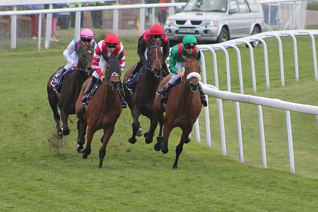 【奥多摩ステークス予想2023】二桁人気馬の台頭に注意したい波乱含みのレース