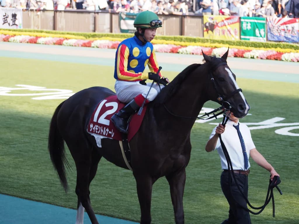 JRA最高齢馬のサイモントルナーレ引退、今後は乗馬に