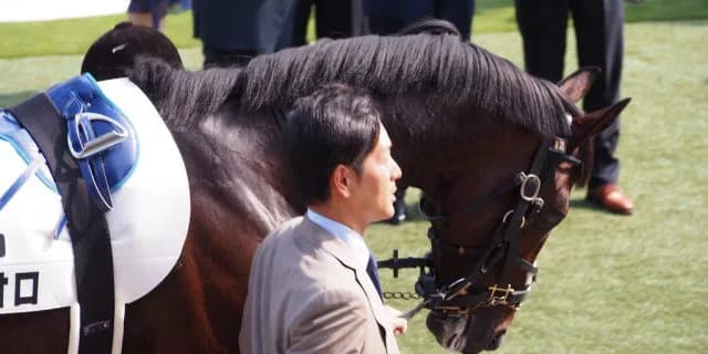 JC2着のレイデオロ、来年は京都記念から。ドバイも視野に?!