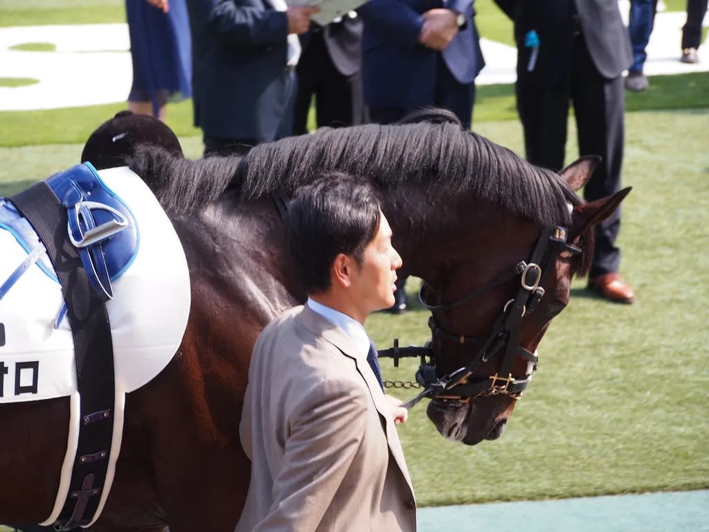 JC2着のレイデオロ、来年は京都記念から。ドバイも視野に?!