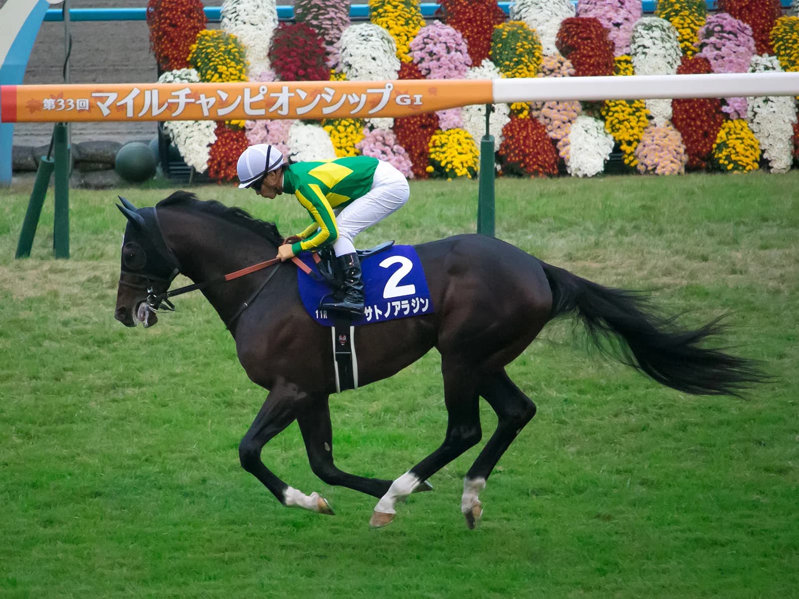 【マイルCS予想2017】サトノアラジン、好走条件はいたってシンプル
