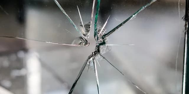 【東スポ杯2歳S予想2017】コスモイグナーツ、2強対決に風穴を開けるか!?