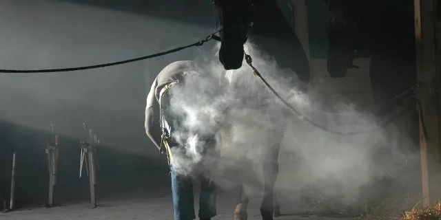 【エリザベス女王杯2021予想】前走大敗のランブリングアレー巻き返し図る