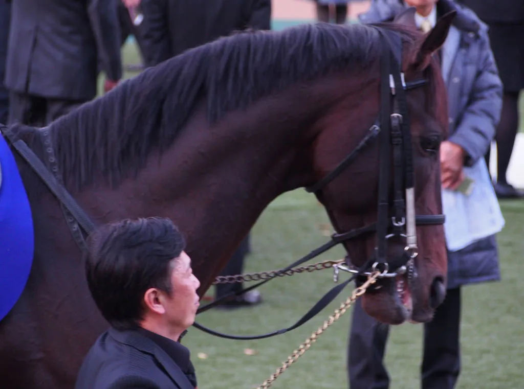 キタサンブラック、種牡馬1年目は約130頭の牝馬と交配
