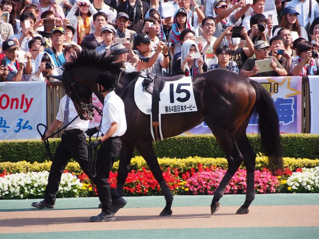 【東京新聞杯2018予想】東京巧者のダイワキャグニー、差し馬多数で展開利も
