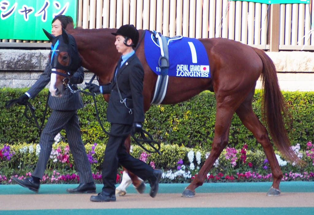 シュヴァルグラン、大阪杯から始動。その後は天皇賞春へ