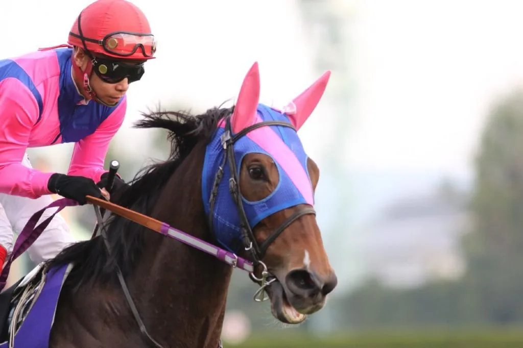 【JRA】メイショウマンボが死亡、産後出血の症状が悪化