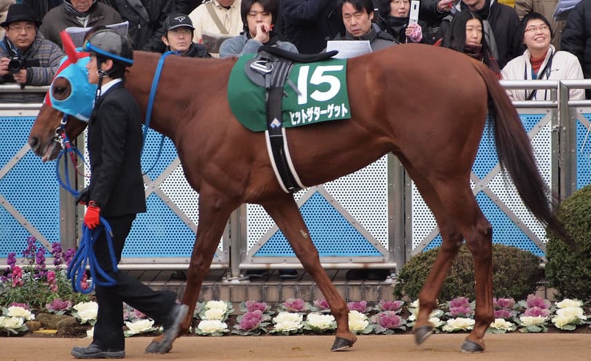 【日経新春杯2018予想】古豪復活なるか?大ベテランの意地に期待したい