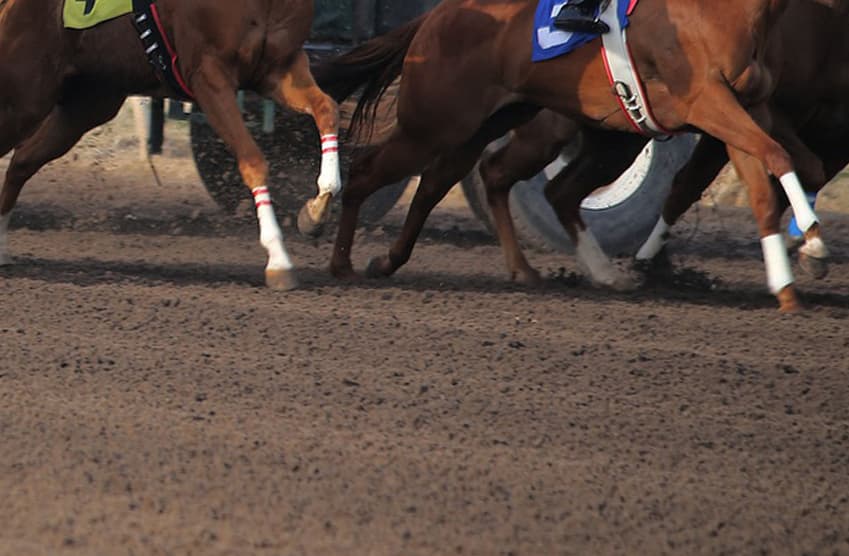 【BSN賞2018予想】ダートオープンのハンデ戦で素質馬たちが激突!
