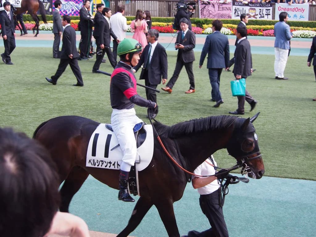 【中山記念2018予想】満を持してペルシアンナイト登場