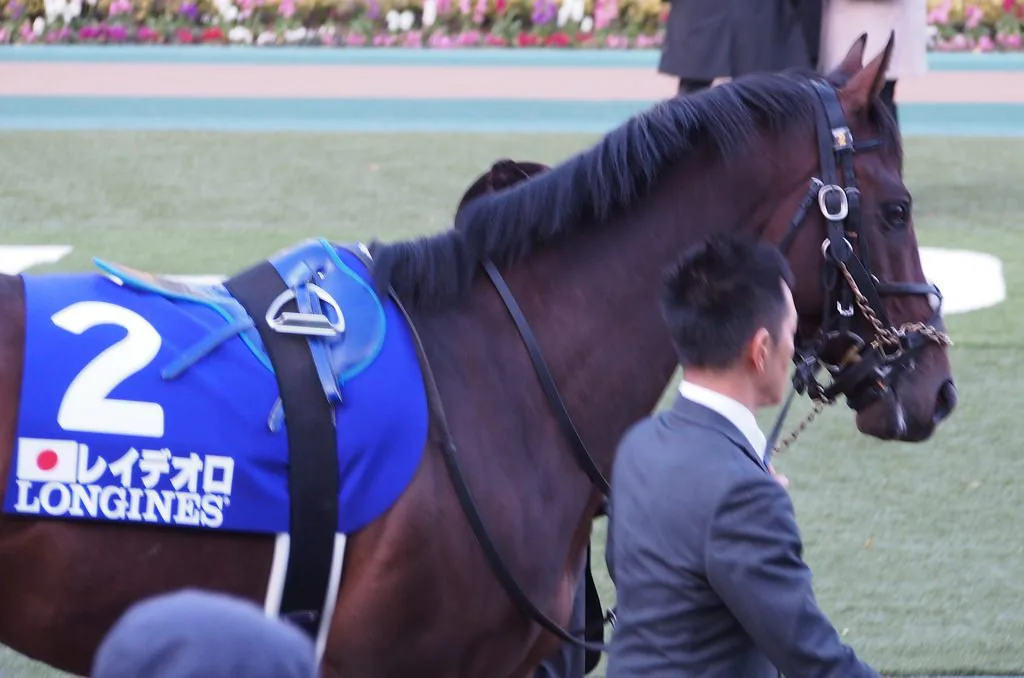 【京都記念2018予想】レイデオロ始動、“初の京都”と“乗り替わり”を克服できるか?