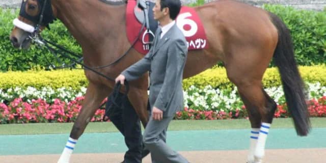 【注目新馬】オークス馬もダービー馬から?戸田厩舎から大物牝馬候補デビュー