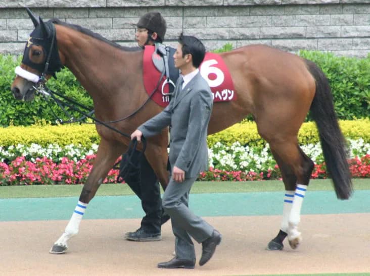 【注目新馬】オークス馬もダービー馬から?戸田厩舎から大物牝馬候補デビュー
