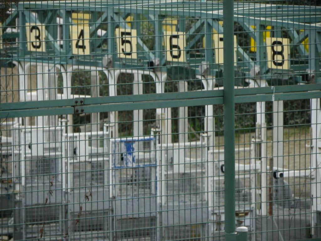 【天皇賞秋2021】JRAがグランアレグリアやコントレイルなど、16頭の登録馬を発表