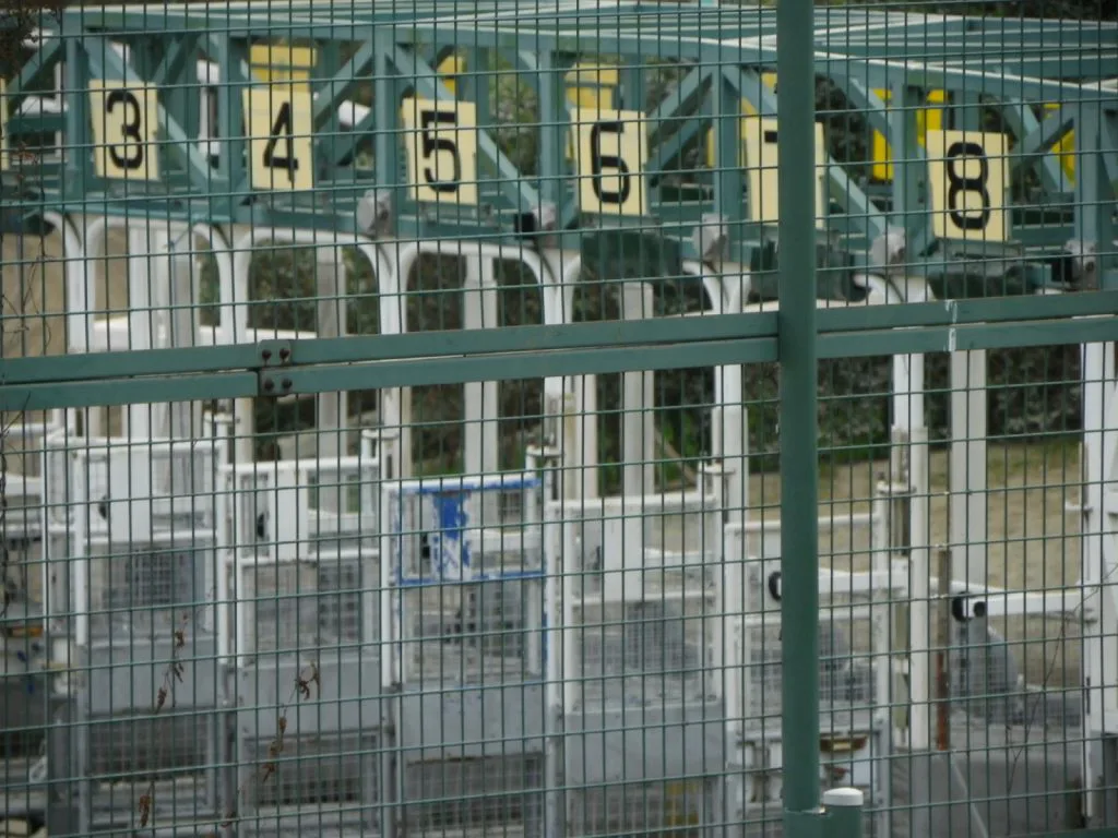 【天皇賞秋2021】JRAがグランアレグリアやコントレイルなど、16頭の登録馬を発表